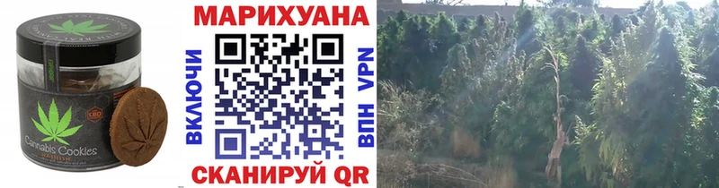 Еда ТГК марихуана  Кохма 